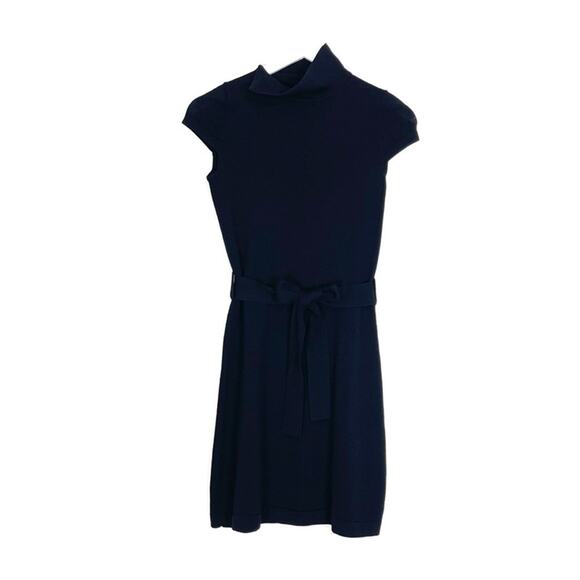 Banana Republic Extra Fine Merino Wool Turtleneck Dress - Picture 1 of 14